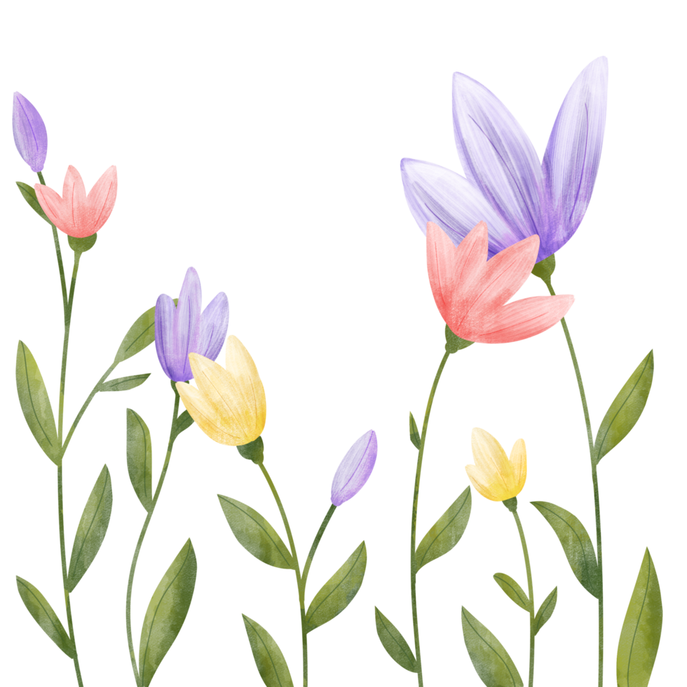 Watercolor illustration of spring summer flowers on Transparent background png
