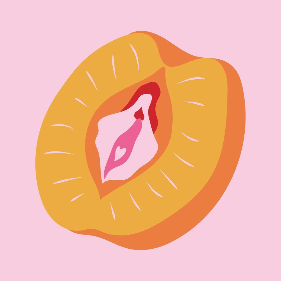 Peach with outlines female labia. Vulva vector
