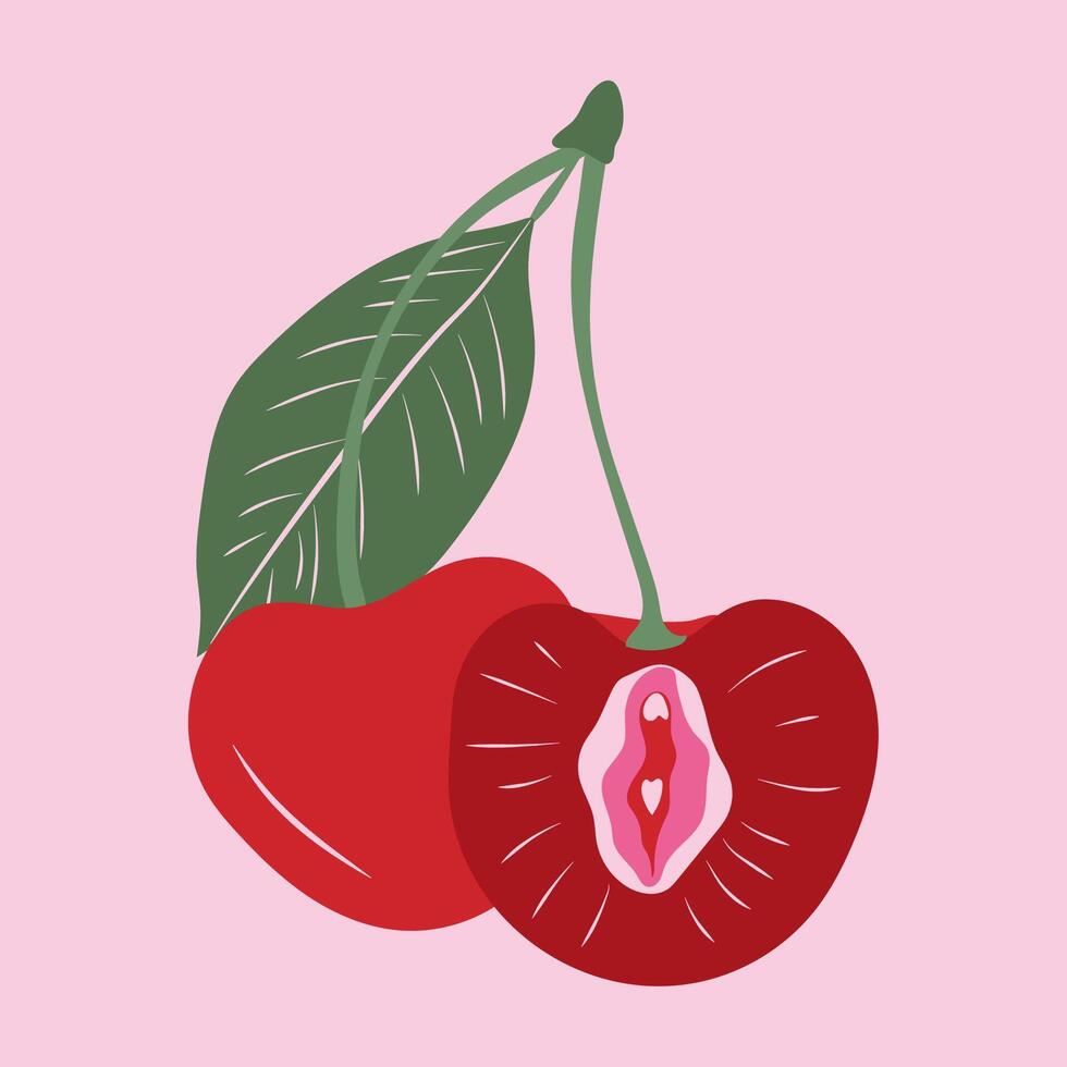 Cherry with outlines female labia. Vulva vector