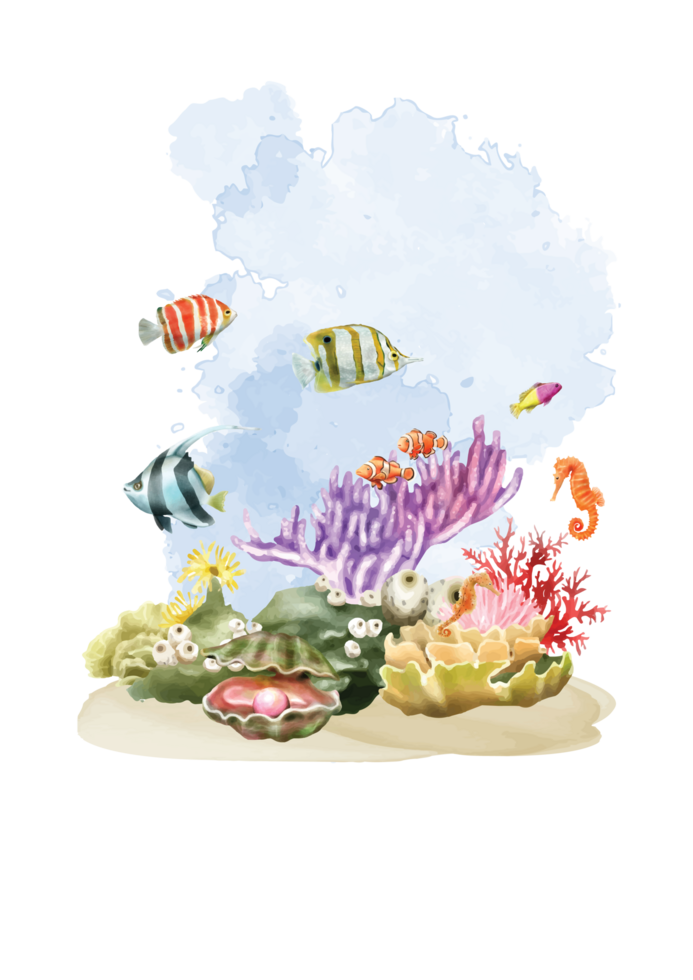 beautiful sea life watercolor background png