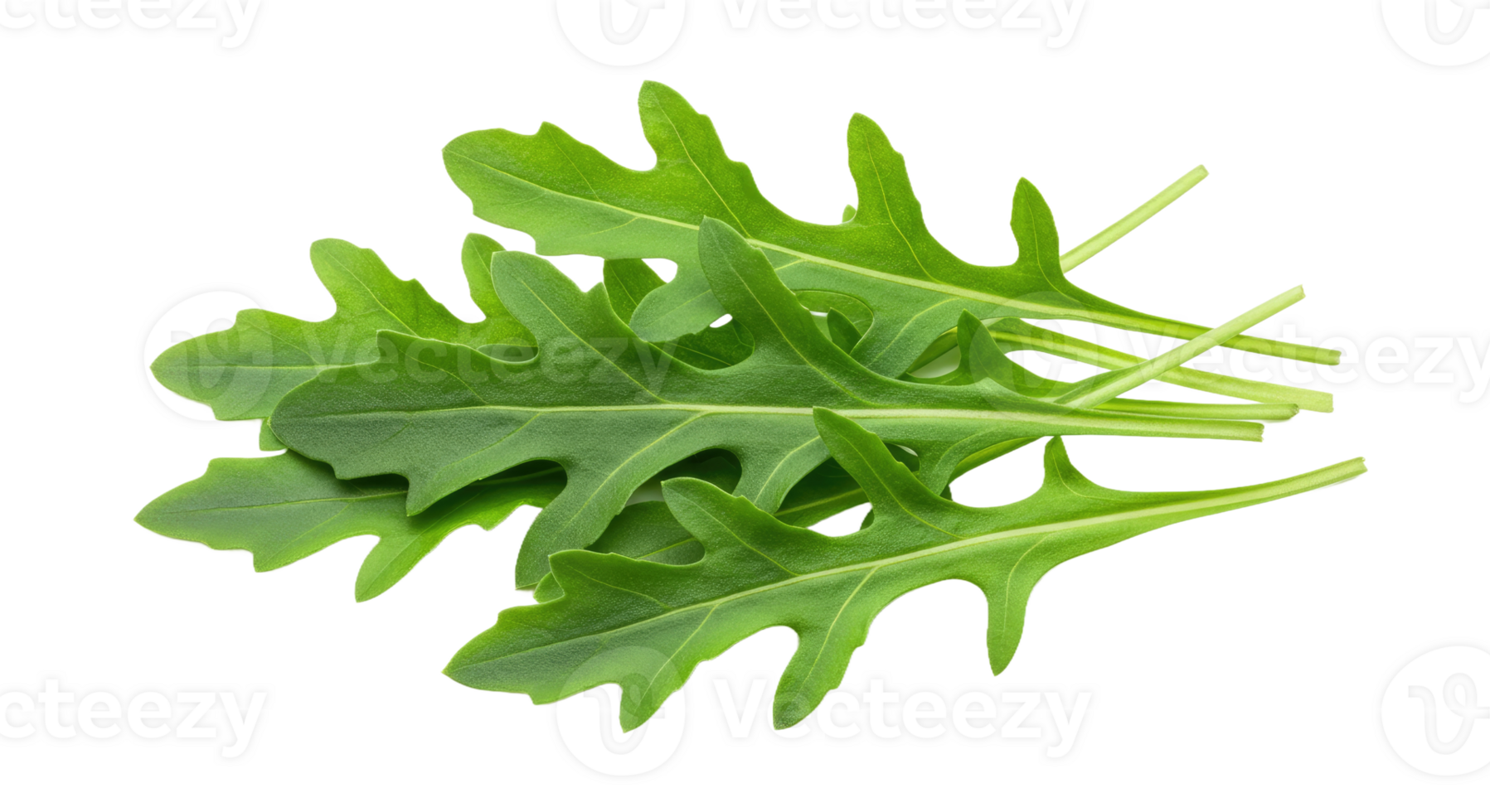 Deep Peppery Green Arugula Cluster with Irregular, Slightly Lobed Leaf Shapes png