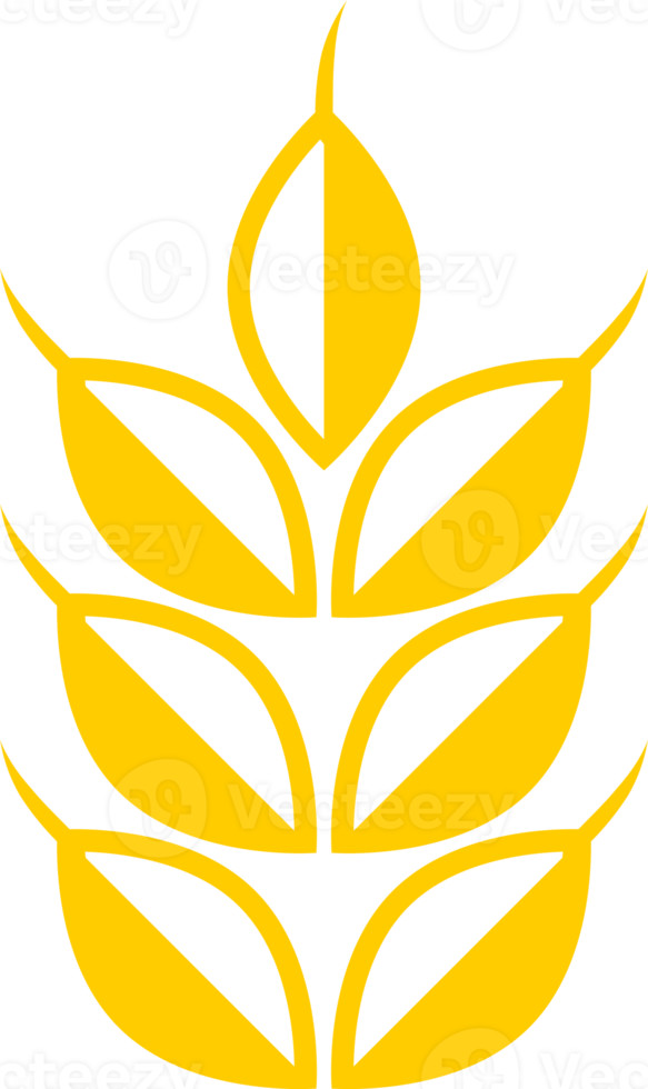 Yellow wheat rice food png