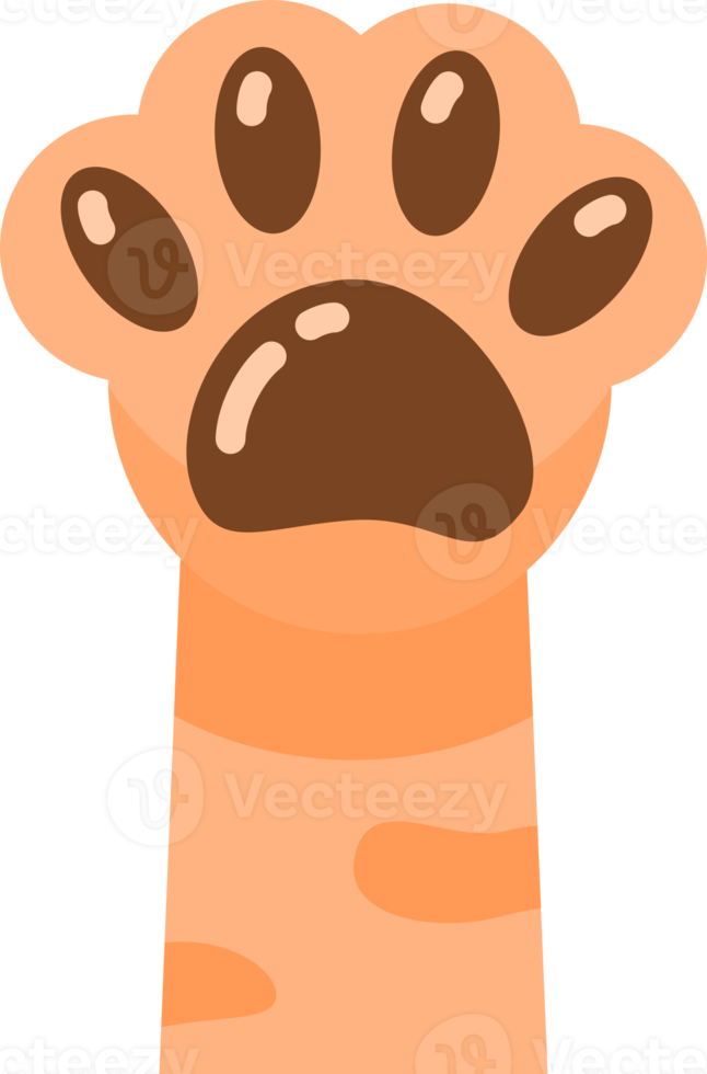 Orange paw icon png