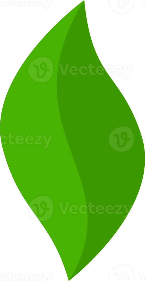 Green tree leave png
