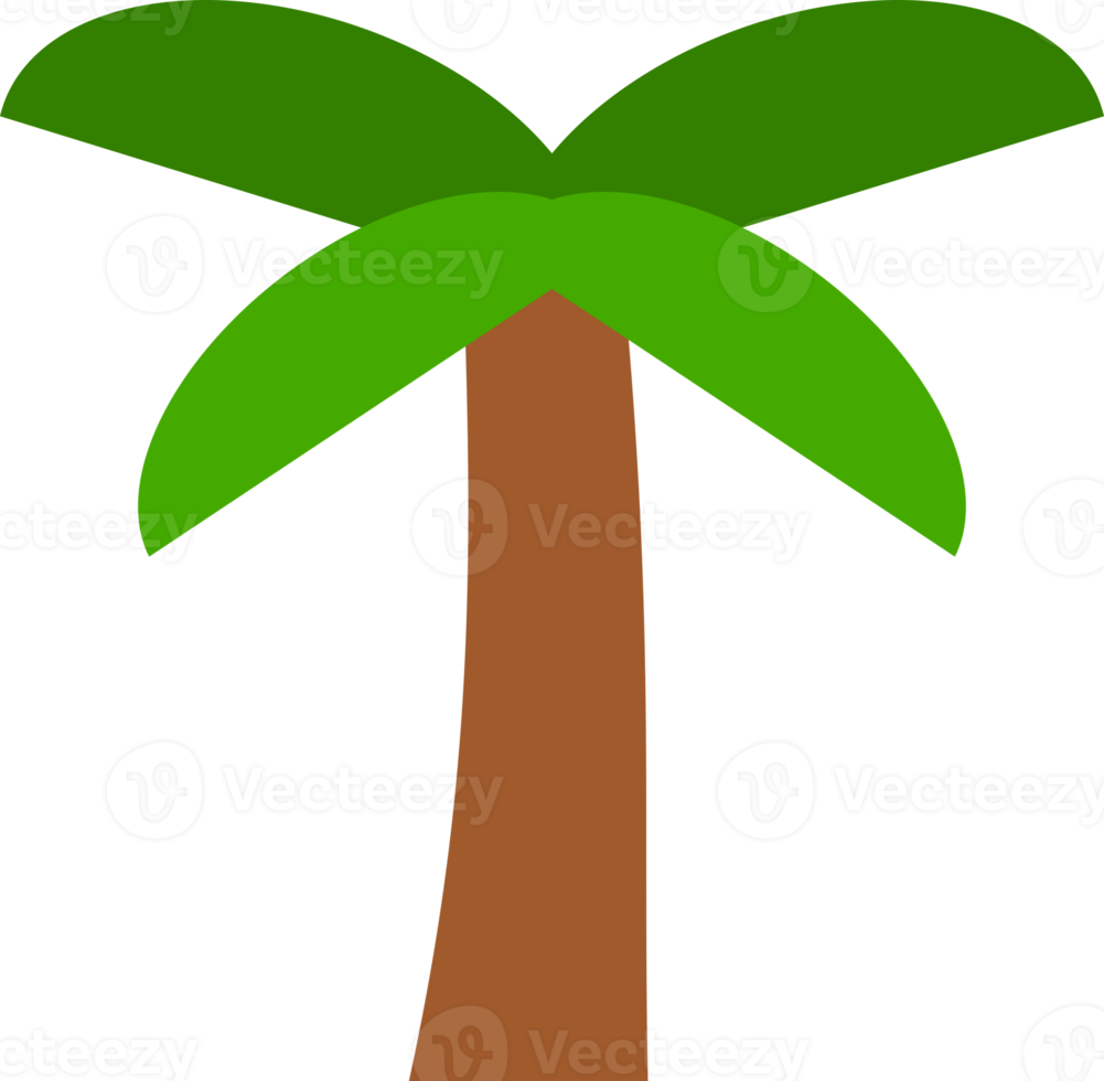 coconut tree icon png