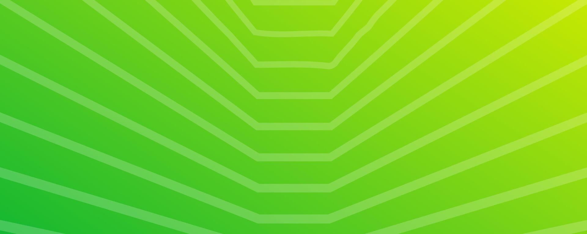Modern green gradient with lines. Header banner. Bright geometric abstract presentation backdrops. illustration vector
