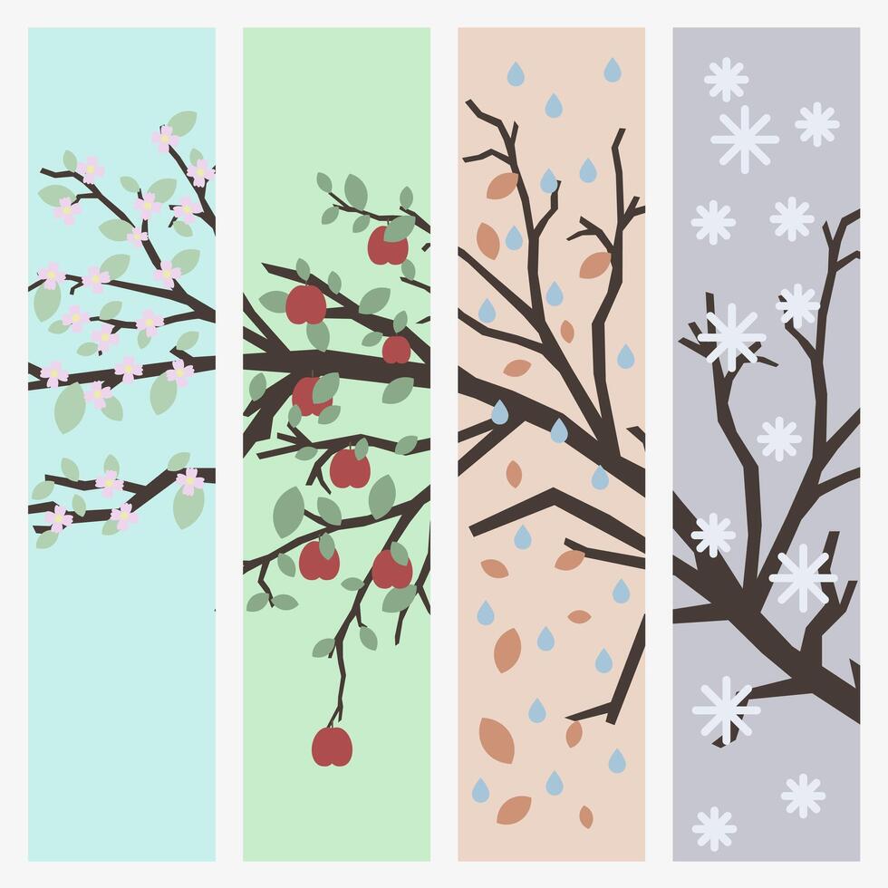 Tree branch four times a year at different times of the year. Set of images of the four seasons. vector