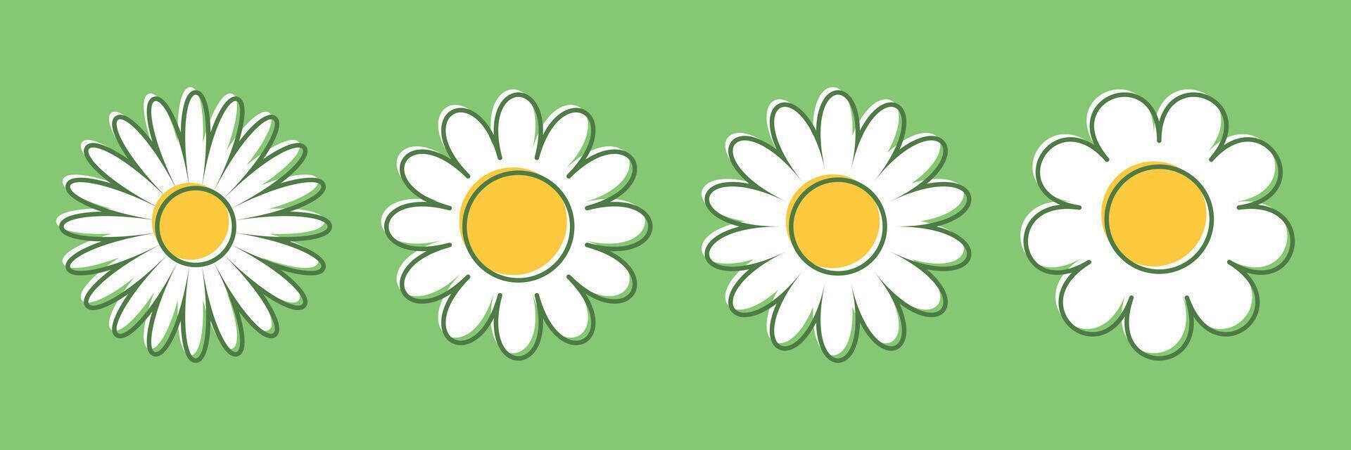 Four daisies are shown on a green background vector