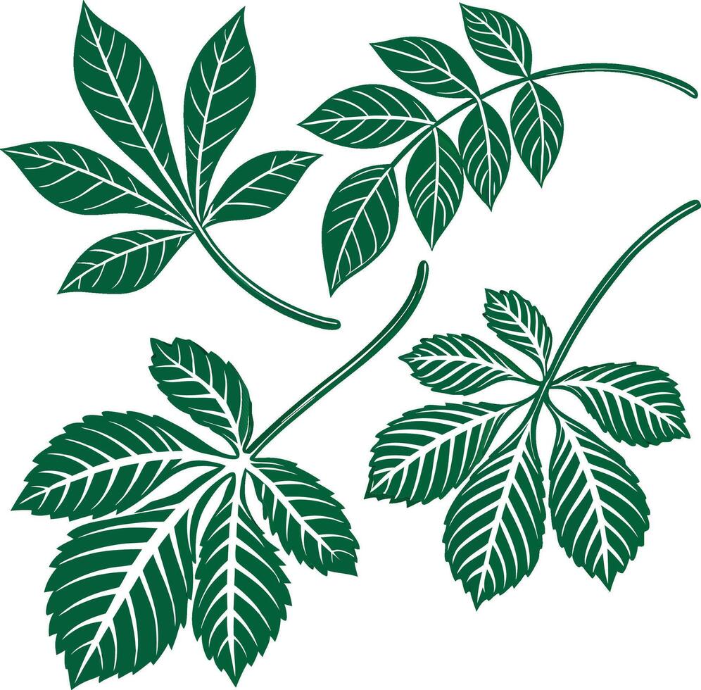 Set of green leaf element vector