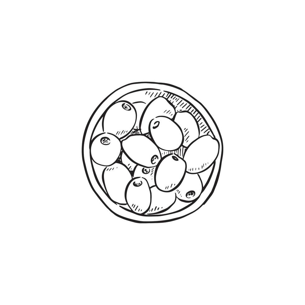 Olives in a bowl. Hand drawn sketch in black and white. vector