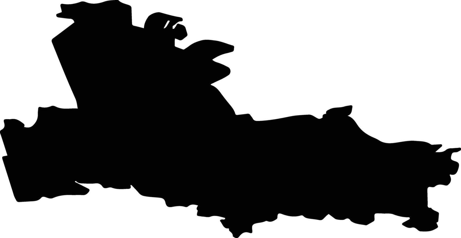 Demyansky District Russia silhouette map vector
