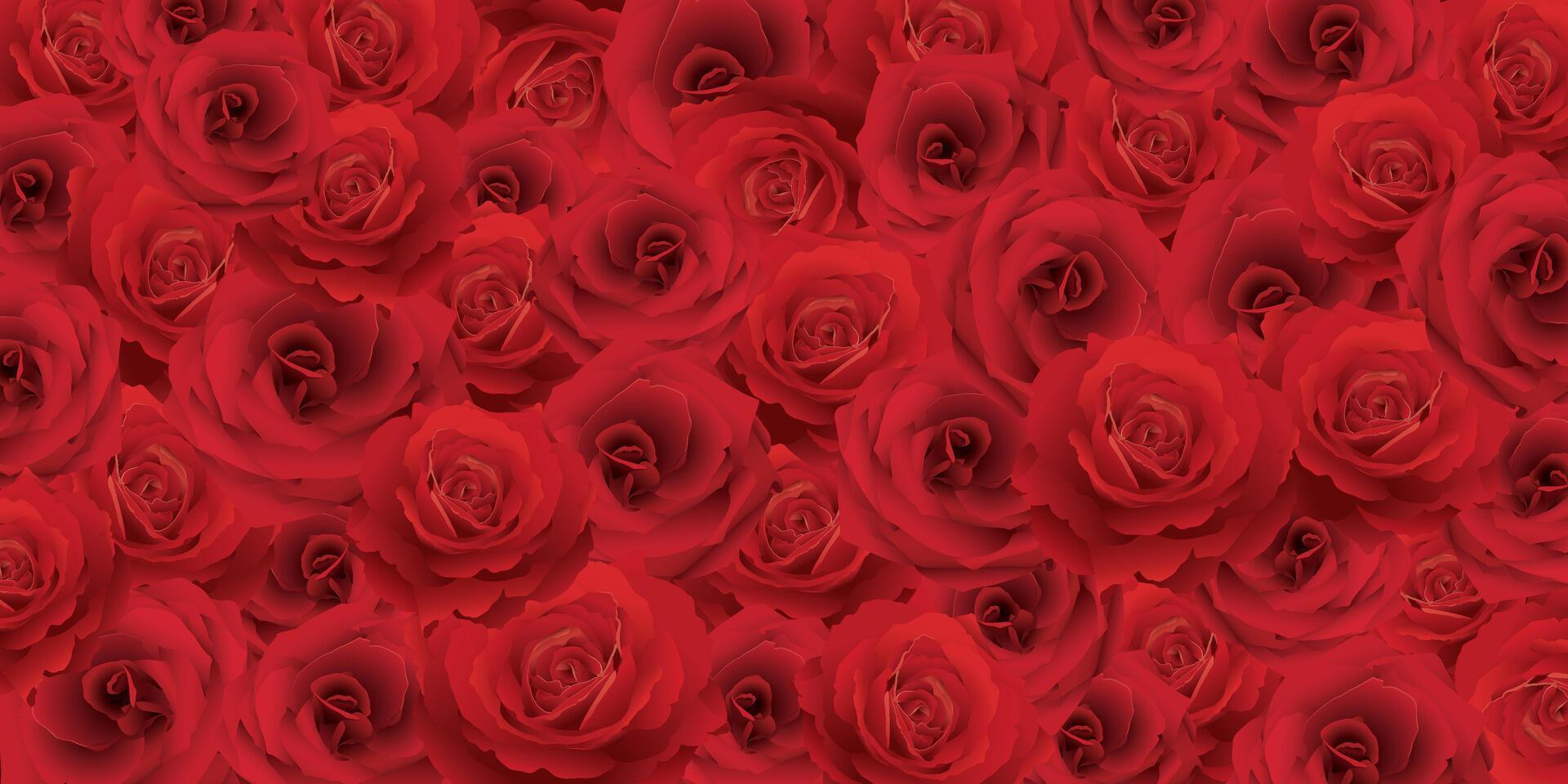Blooming red rose flowers pattern background graphic illustration. vector