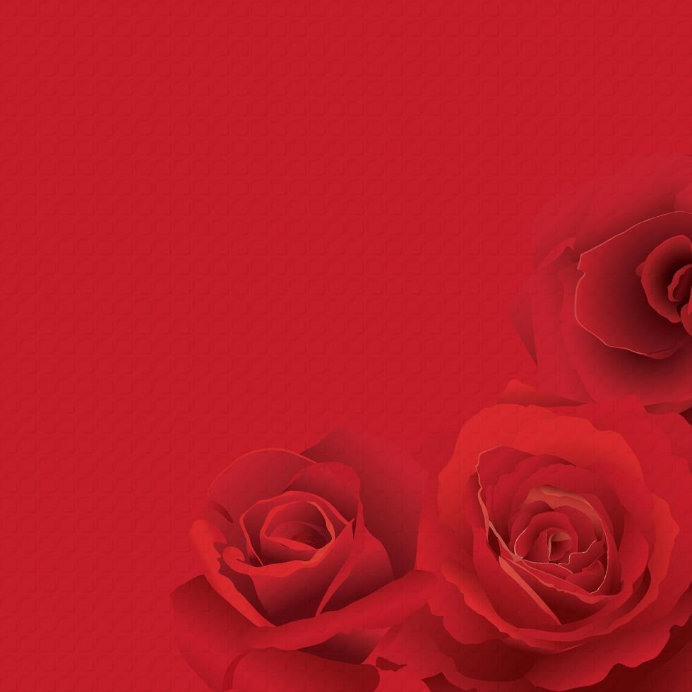 Red rose flower on red bond paper texture square background graphic illustration have blank space. vector