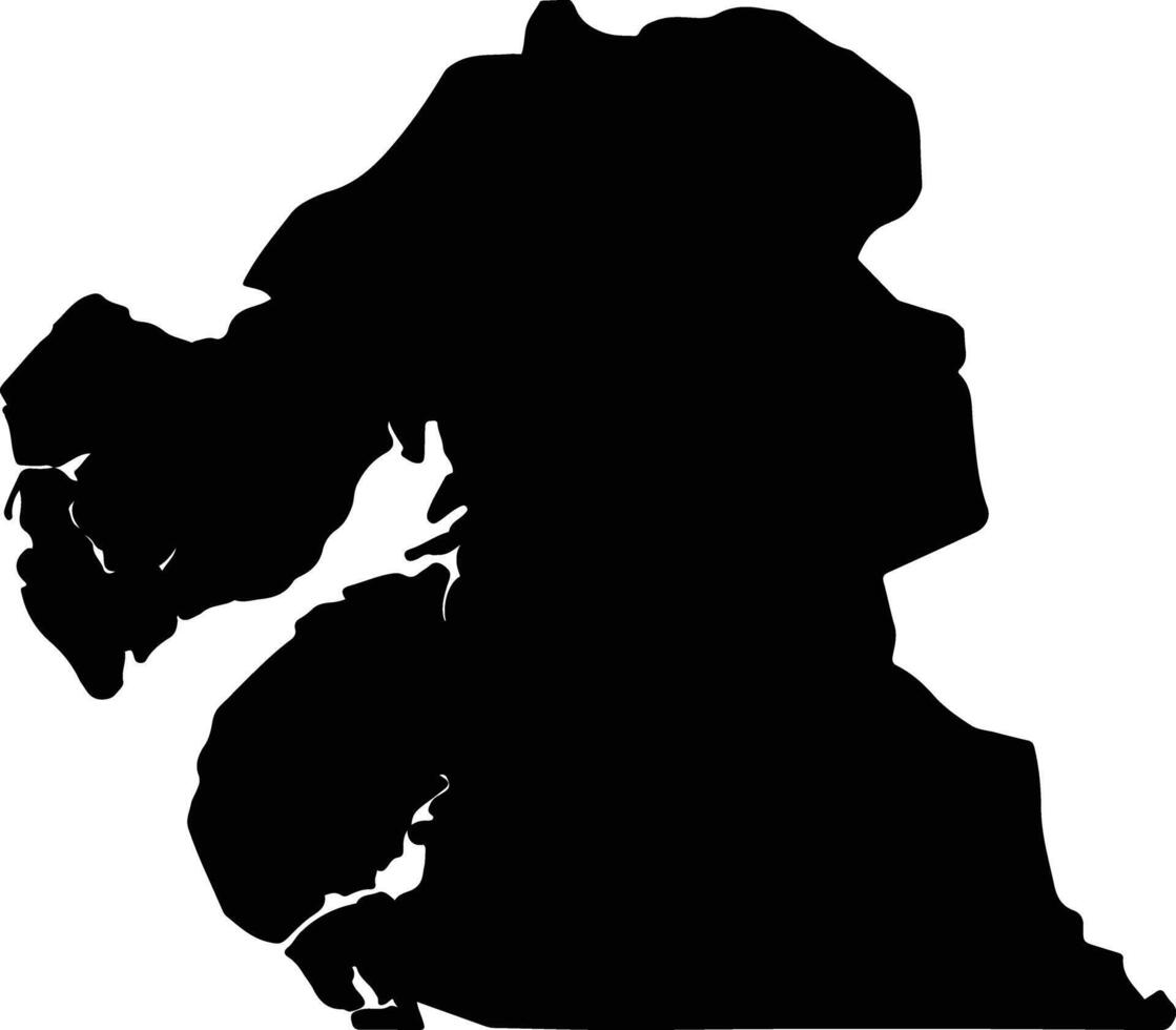 Foundiougne Senegal silhouette map vector