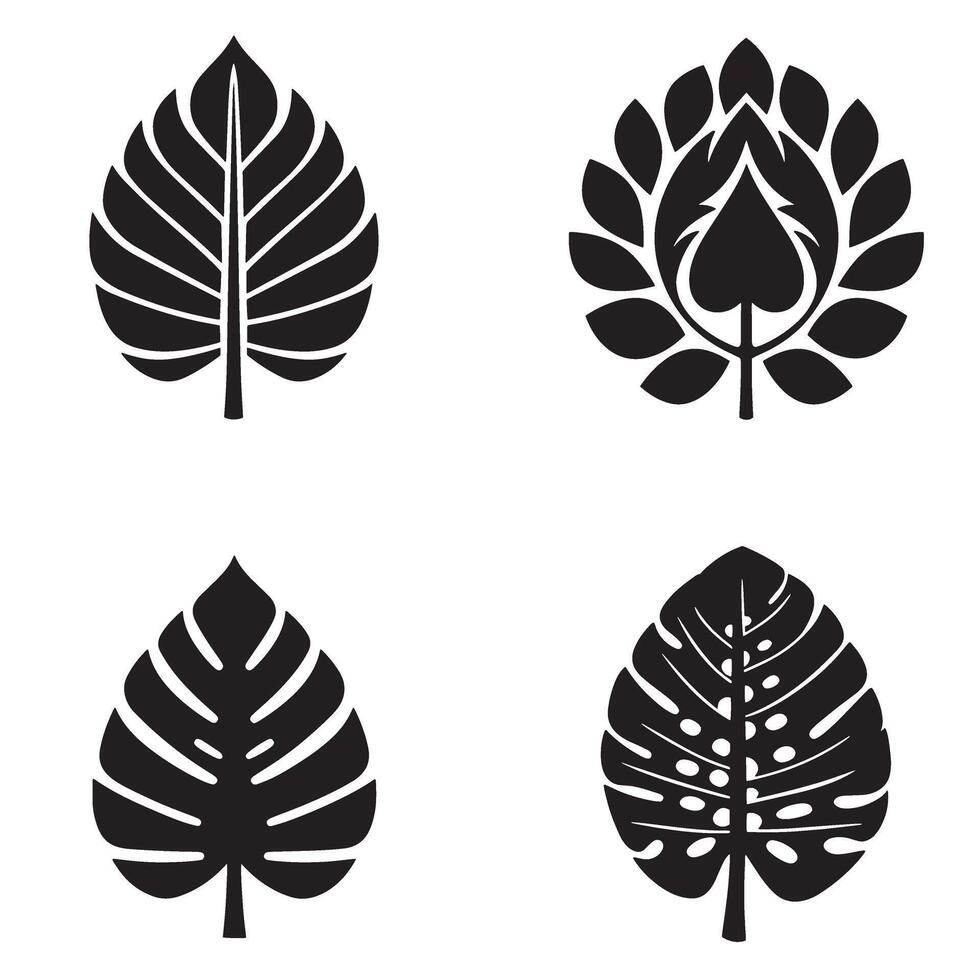 Black and white tropical leaf designs for graphic design projects and decorative applications vector