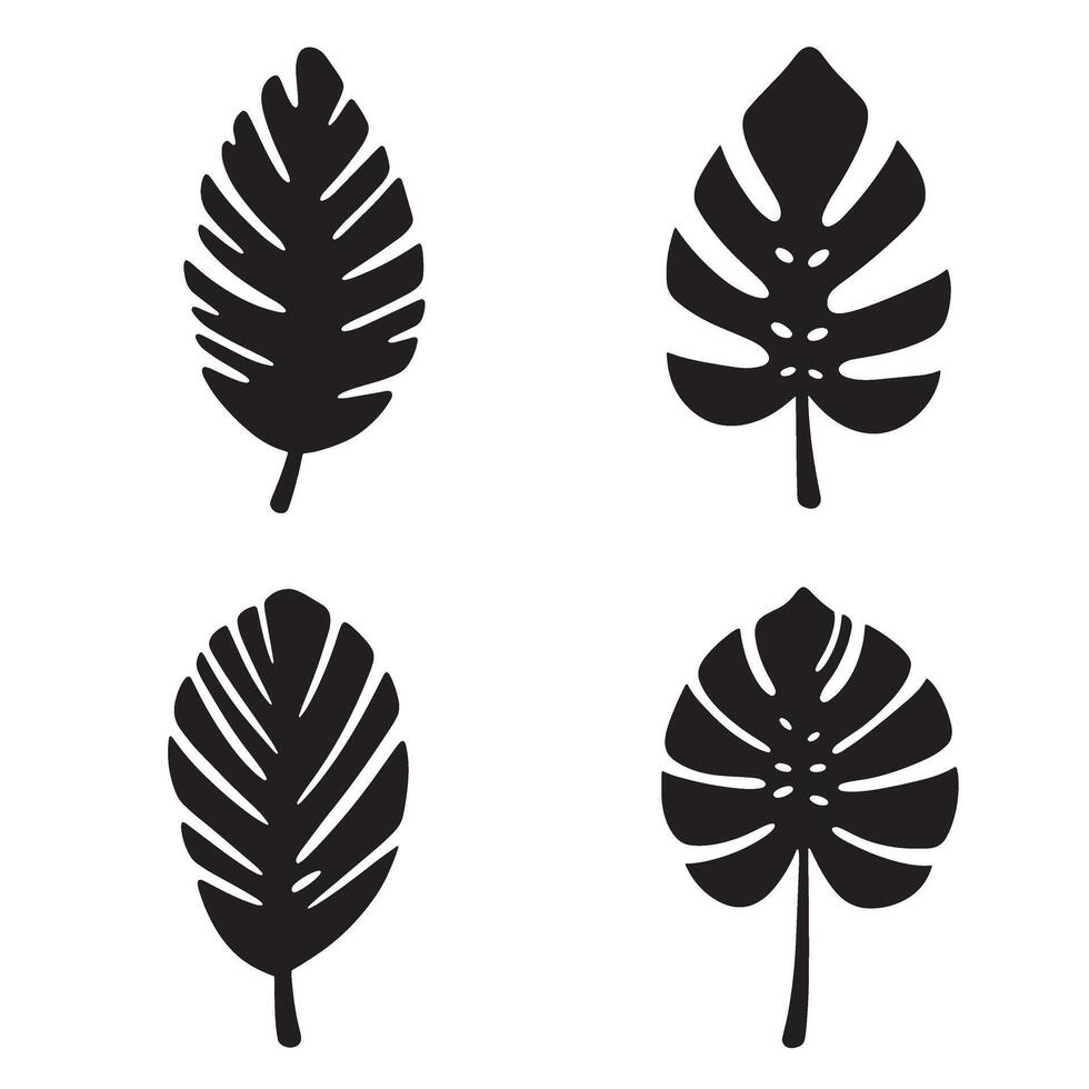 Four stylized black and white tropical leaves representing different plant varieties, perfect for design and decorative purposes. vector