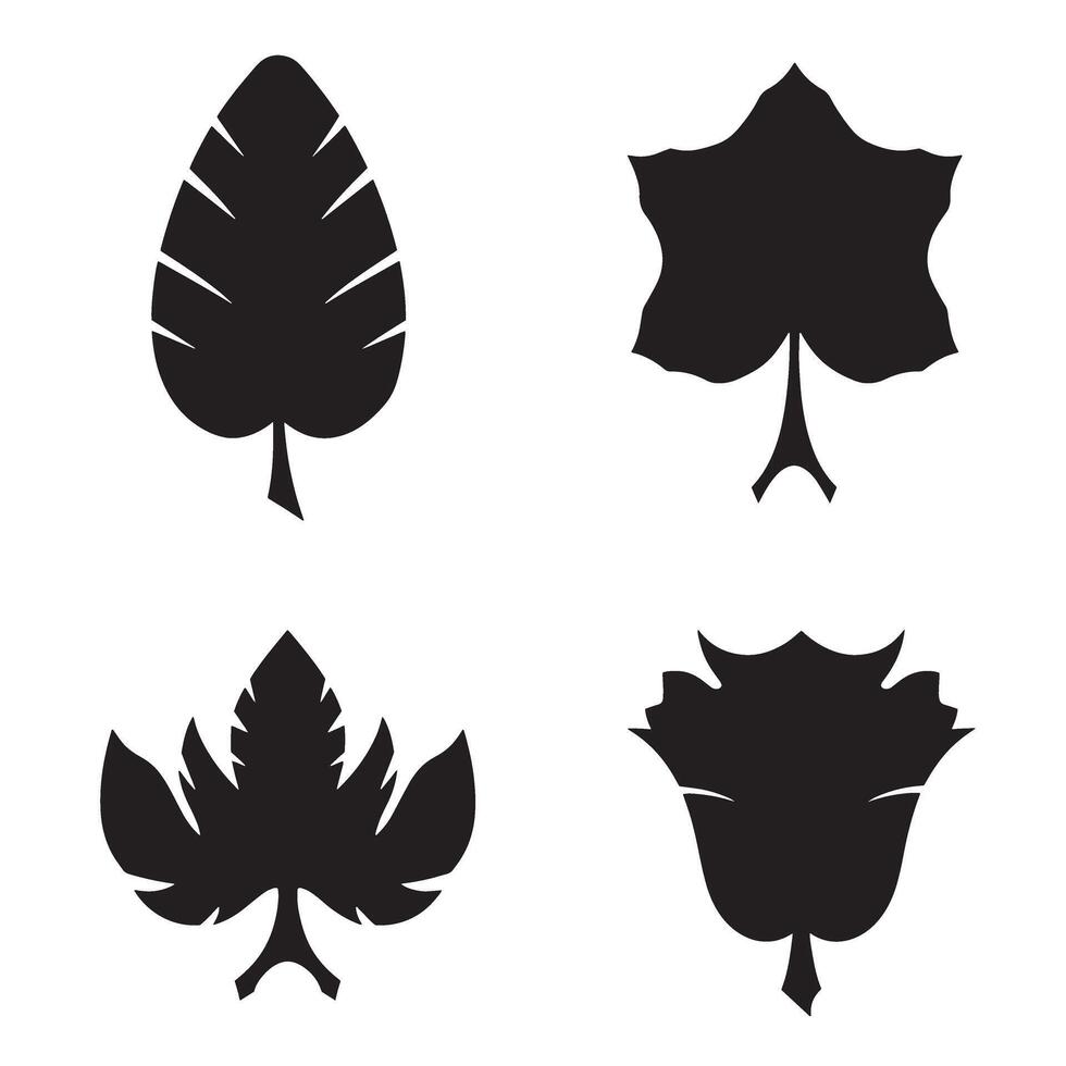 Set of four stylized black leaf silhouettes illustrating different leaf shapes and plant forms on a clean white background vector