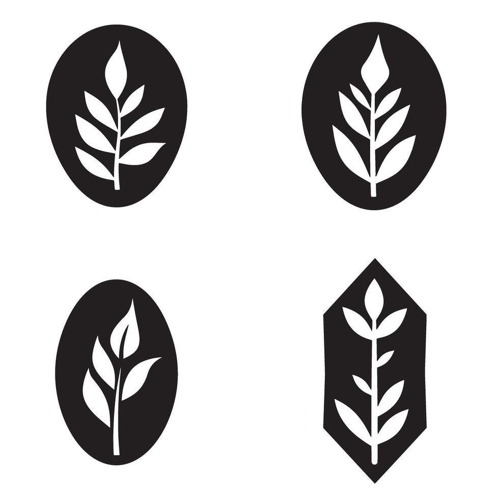 Minimalist botanical illustration featuring four distinct stylized plant leaves in various oval and geometric shapes against a clean white background. vector