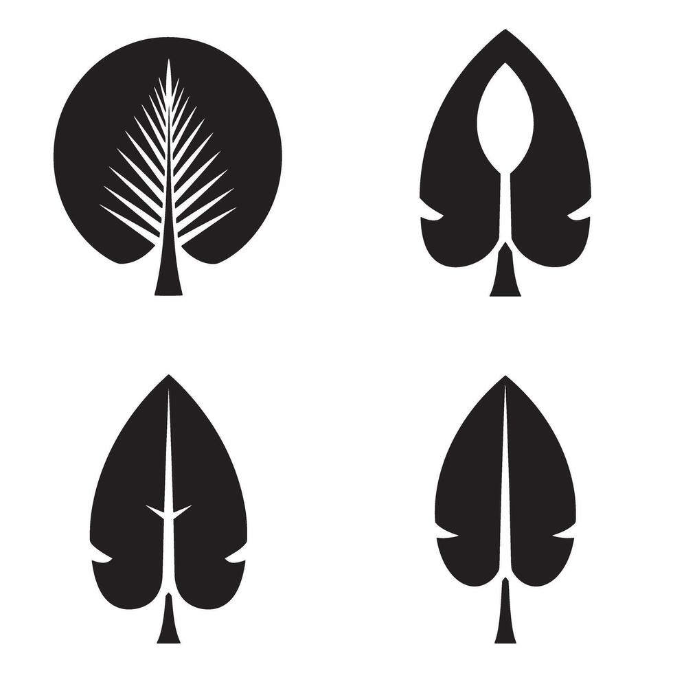 Elegant minimalist botanical illustrations featuring four different leaf designs presented on a crisp white background ideal for various graphic design uses vector