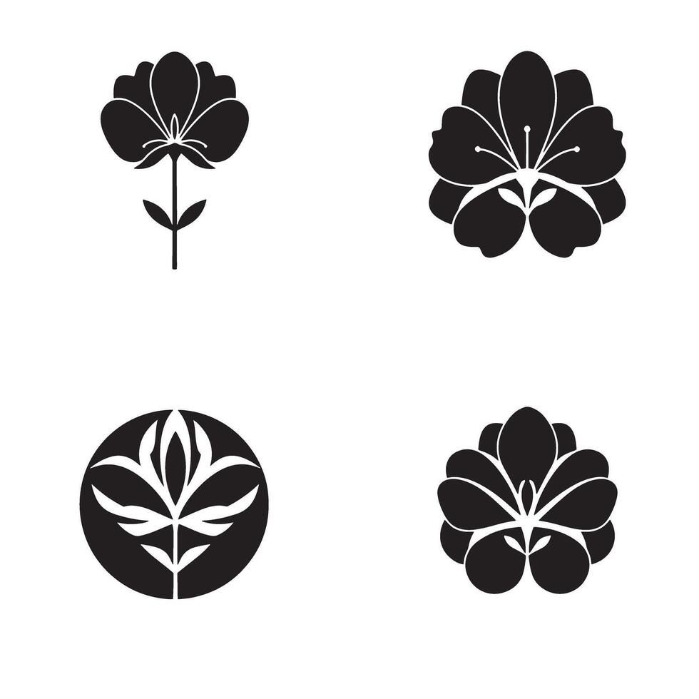 Set of four elegant black and white floral designs with leaves and circle decoration elements vector