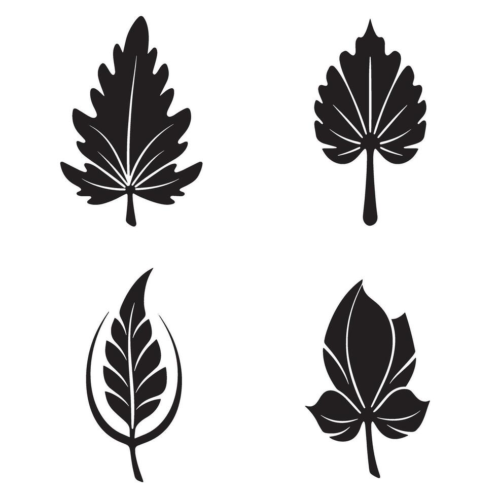 Collection of leaf silhouettes in black and white for decorative design elements and natural backgrounds vector