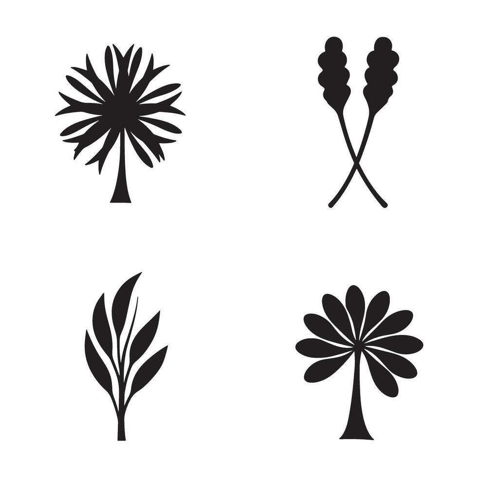 Collection of simple black and white botanical illustrations in modern design elements vector