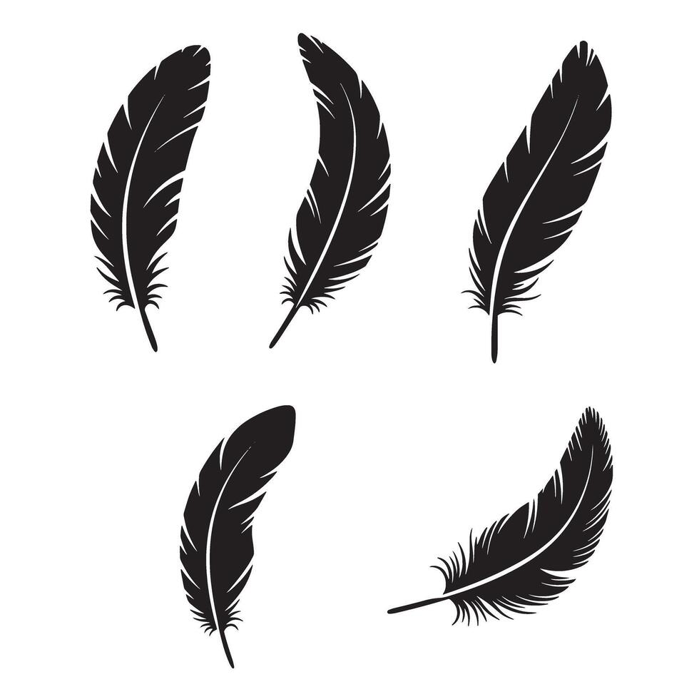 Elegant silhouette illustrations of five black feathers on a clean white background for decorative design vector