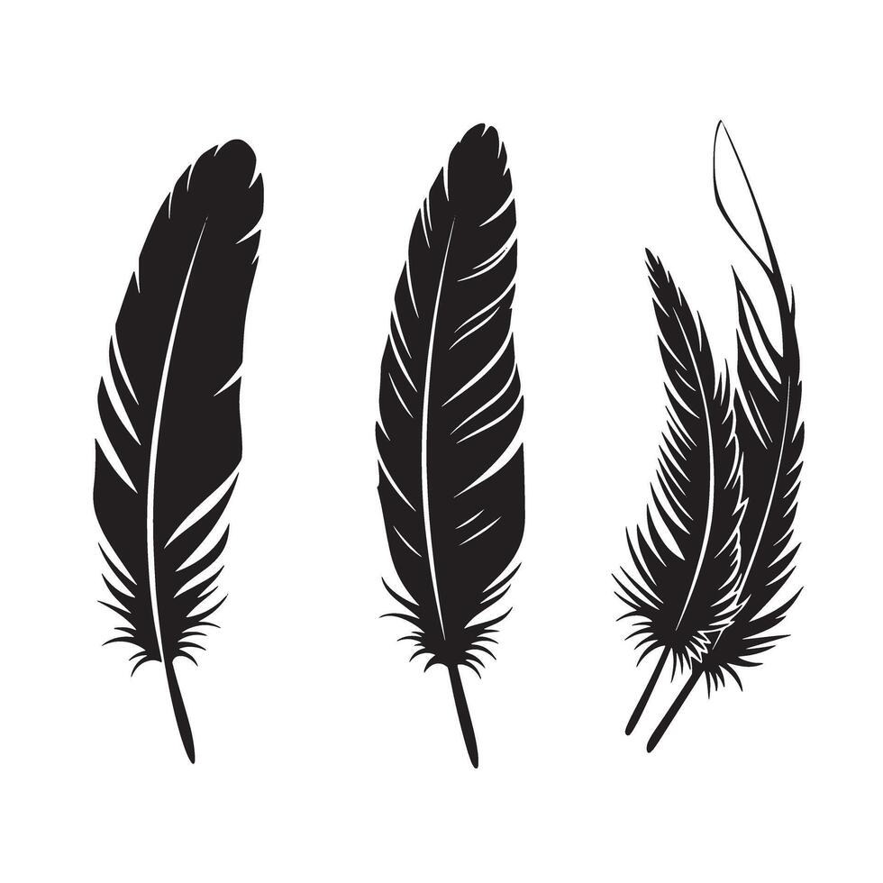 Elegant black feather silhouettes on white background illustration for decorative design vector