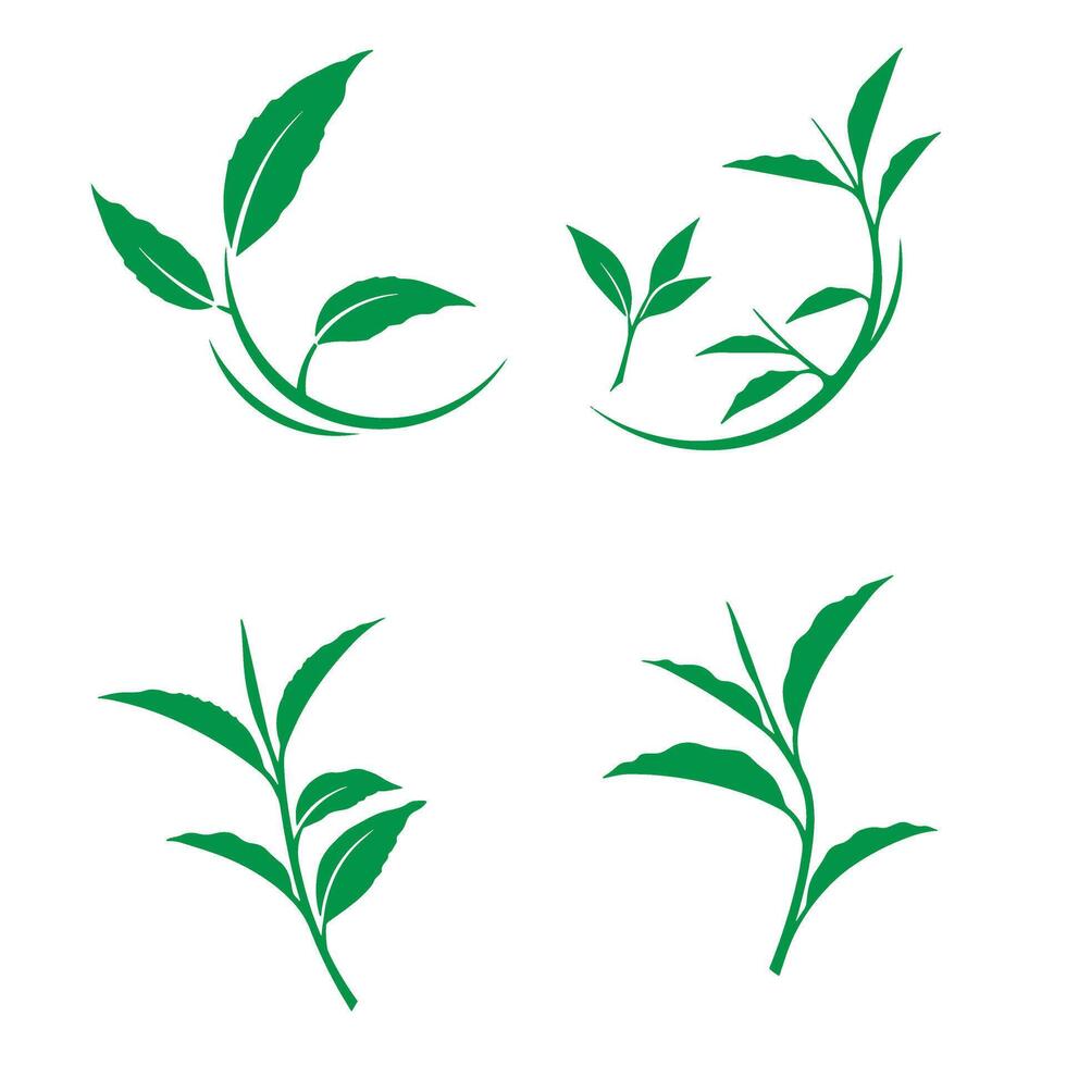 Elegant green tea leaves silhouettes design elements vector