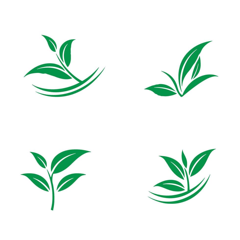 Collection of green leaf logos depicting nature ecology and botanical elements vector