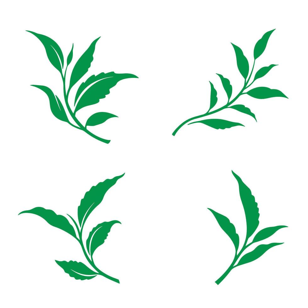 Elegant green tea leaves silhouette elements for design and decoration purposes vector