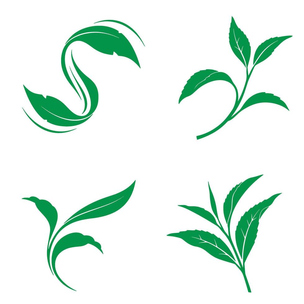 Set of green tea leaves silhouettes for branding and logo design elements vector