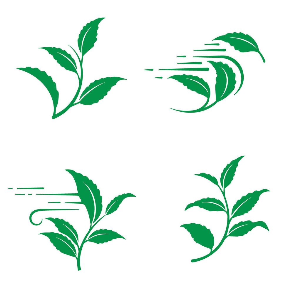 Four green tea leaf silhouette designs for wellness and organic product branding vector