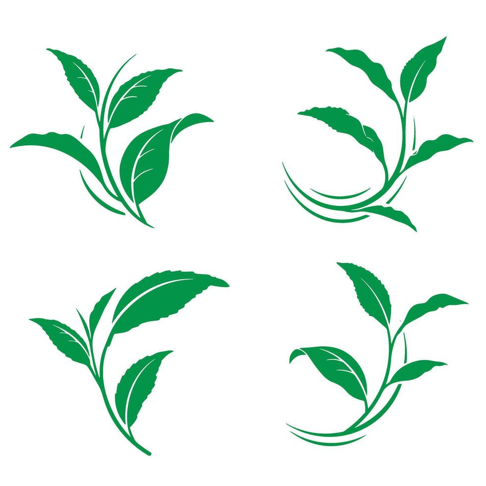 Green tea leaves design silhouettes in four variations for herbal beverage branding vector