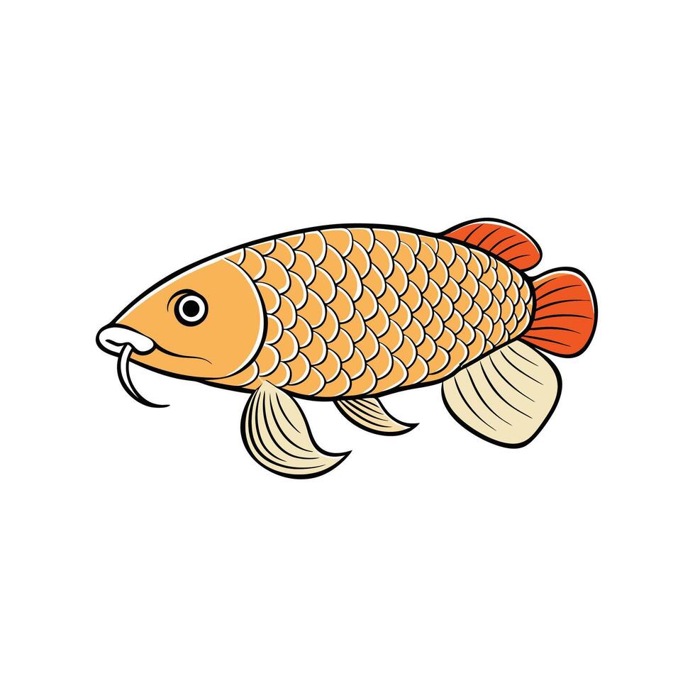 Stylized illustration of orange Arowana fish with white background vector
