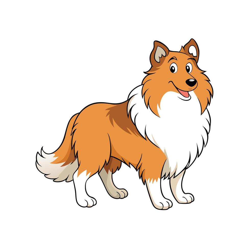 Cartoon Collie dog illustration standing with a friendly smile vector