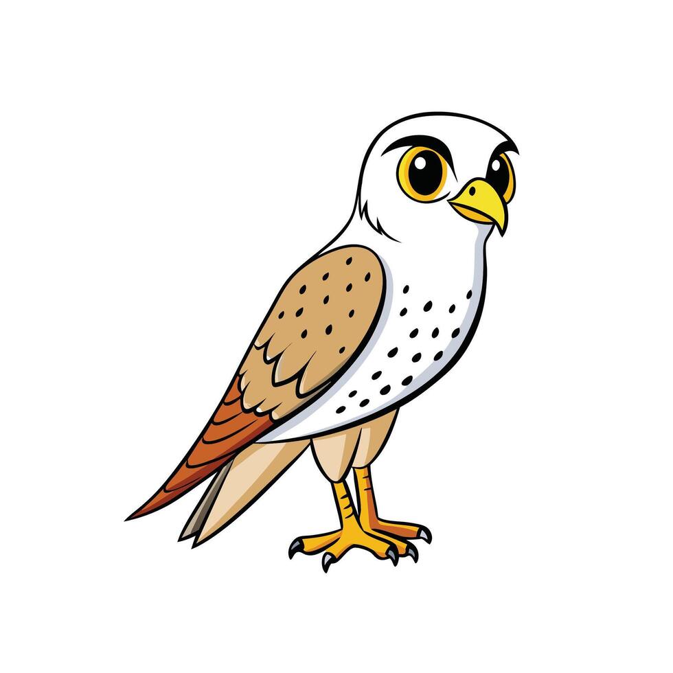 Cartoon Kestrel Illustration with Outline Style, Isolated on White vector
