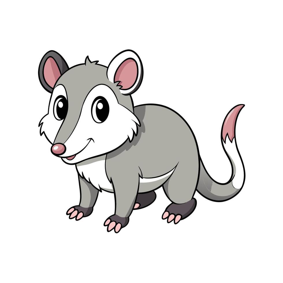 Cartoon opossum illustration standing isolated on white background vector