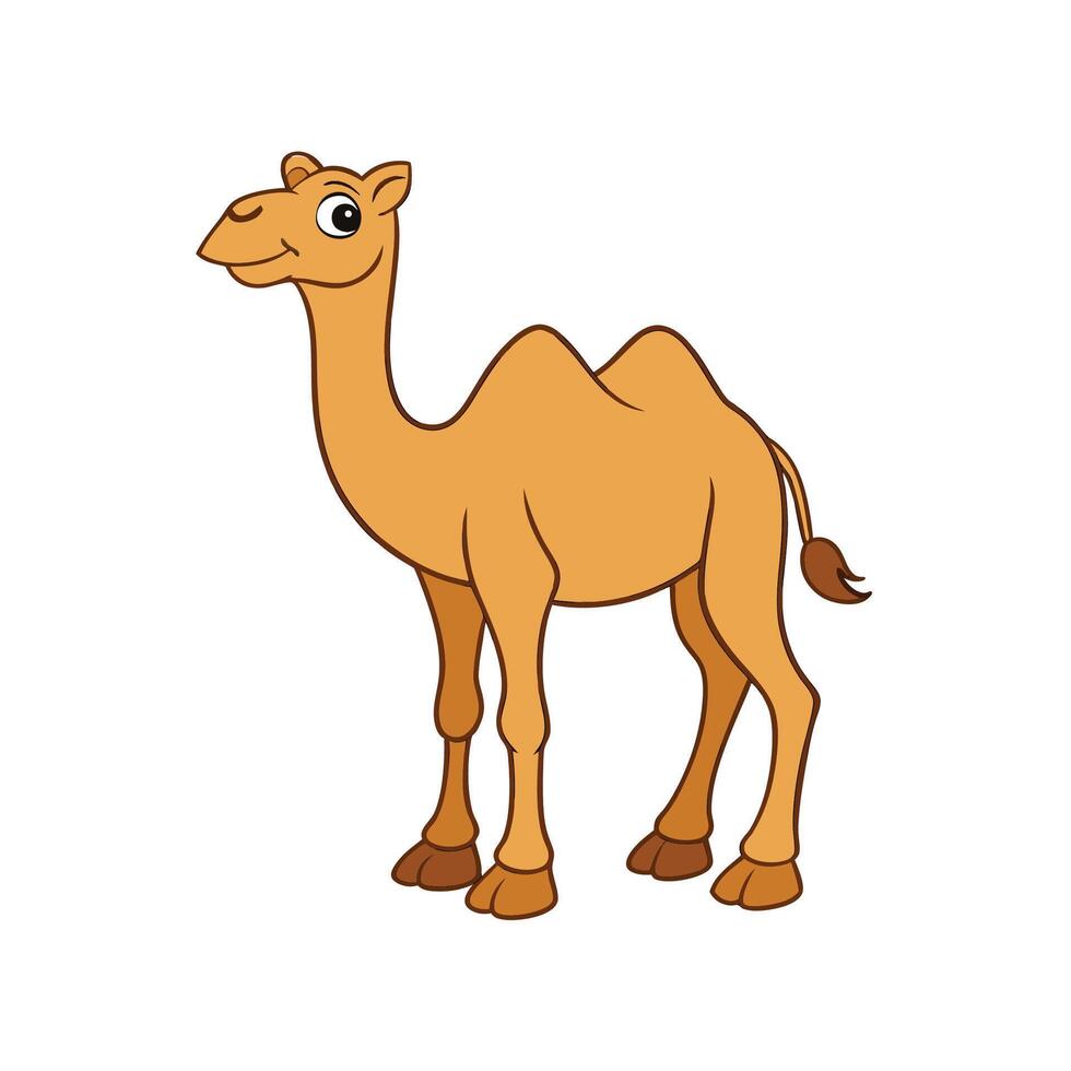 Cartoon camel illustration standing isolated on white background vector