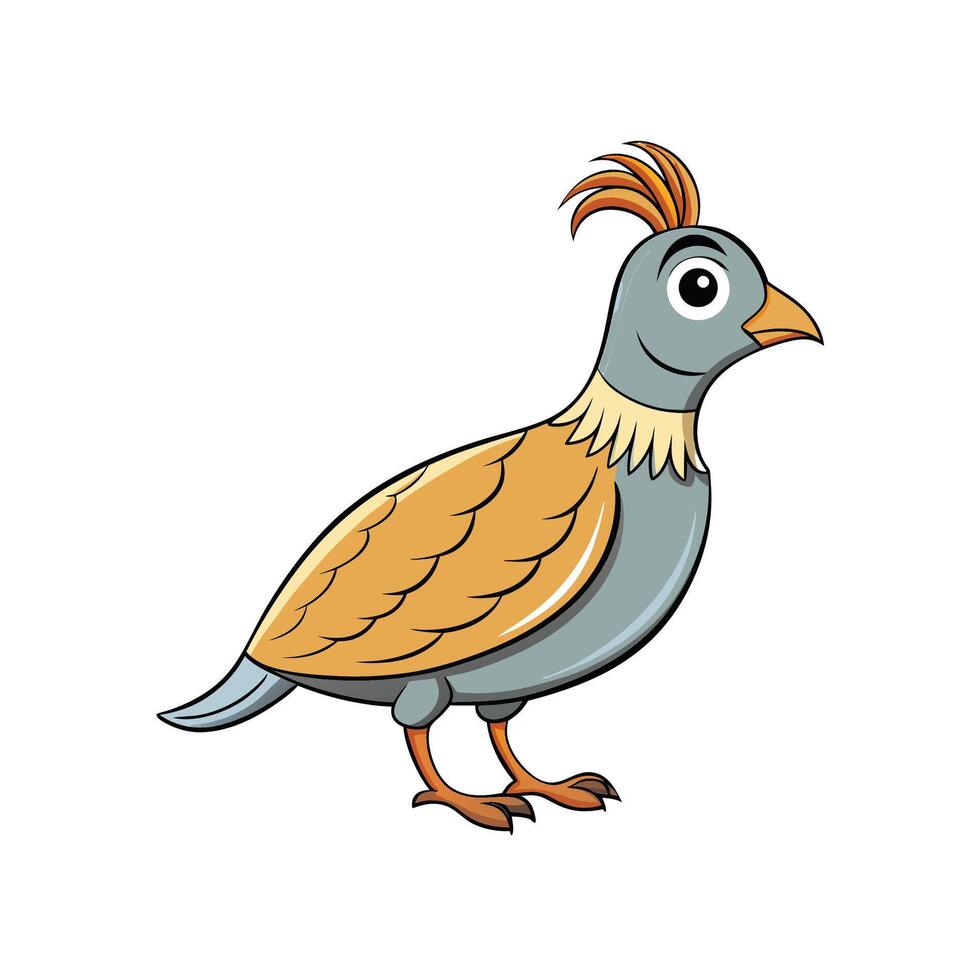Stylized quail bird cartoon illustration with grey and orange hues vector