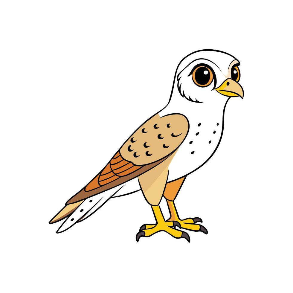 Cartoon kestrel illustration standing isolated on white background for kids vector