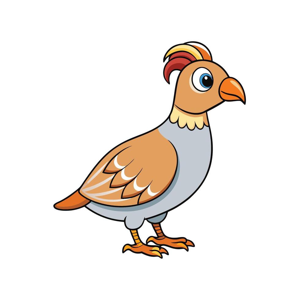 Cartoon quail with crest stands on white background vector