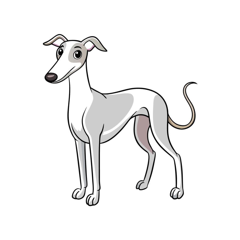 Cartoon greyhound standing tall with curious expression on face vector