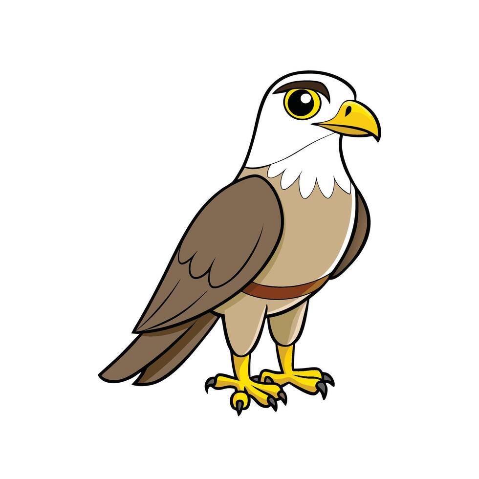 Cartoon style illustration of a brown falcon on white background vector