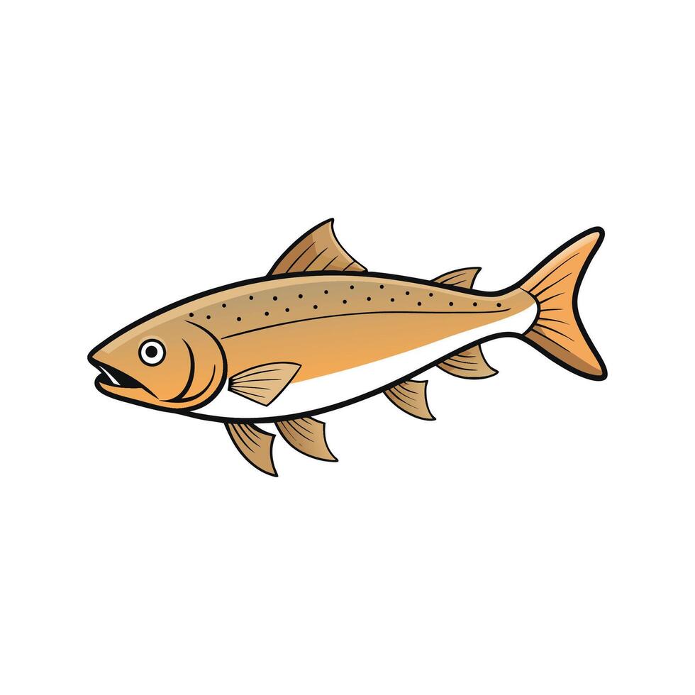 Illustration of a trout fish with a white background vector