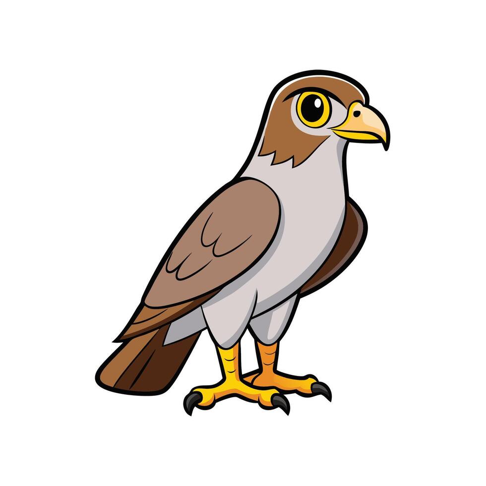 Cartoon falcon illustration with clear outlines and bright colors vector
