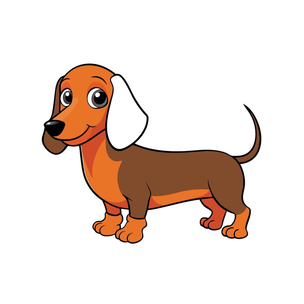 Cartoon illustration of an adorable brown dachshund dog character vector
