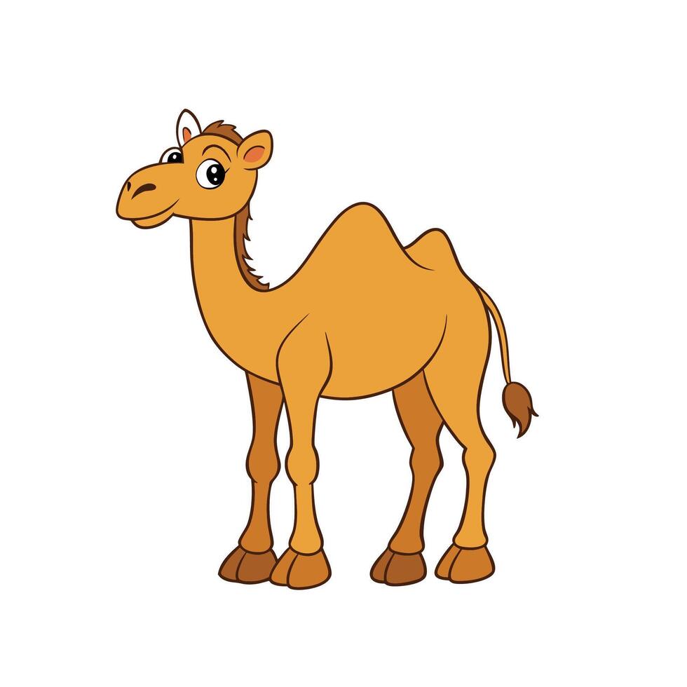 Cartoon camel illustration standing on white background in profile vector