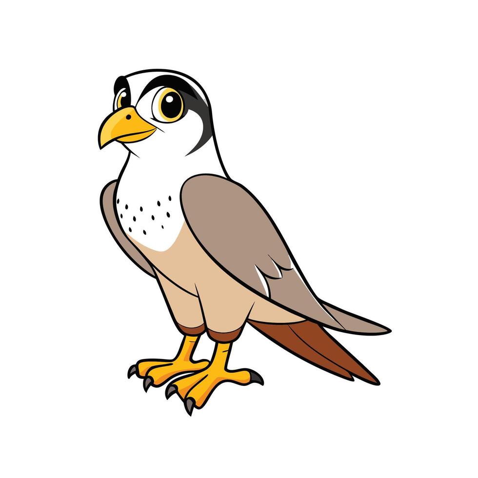 Cartoon falcon character standing against a plain background image vector