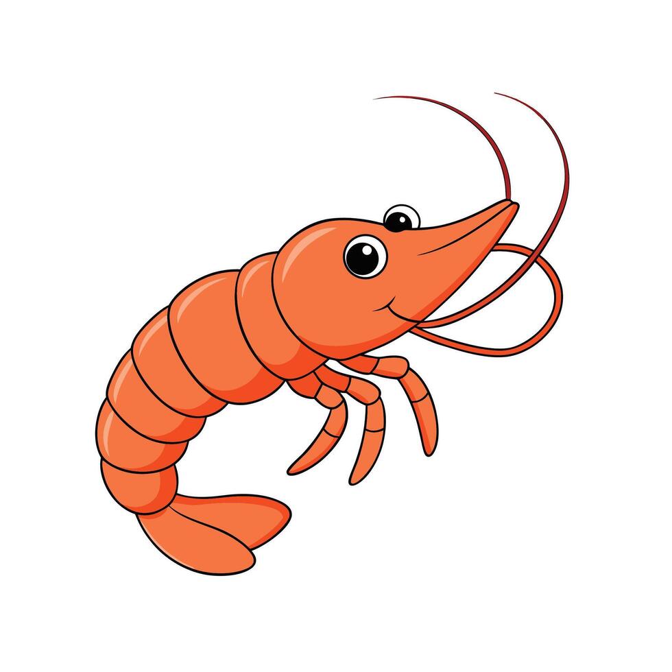 Cartoon shrimp illustration on an isolated white background vector